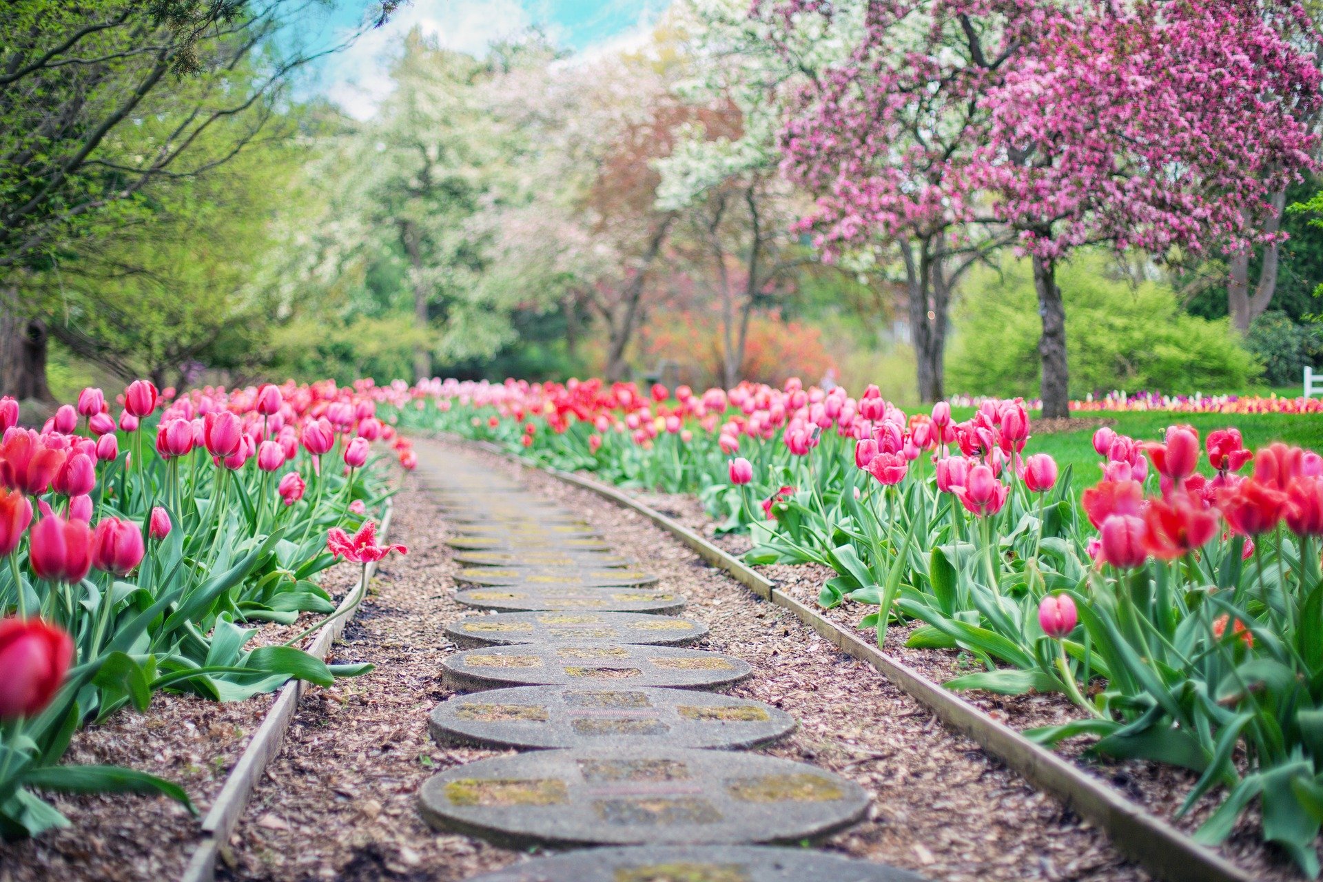 Frühling