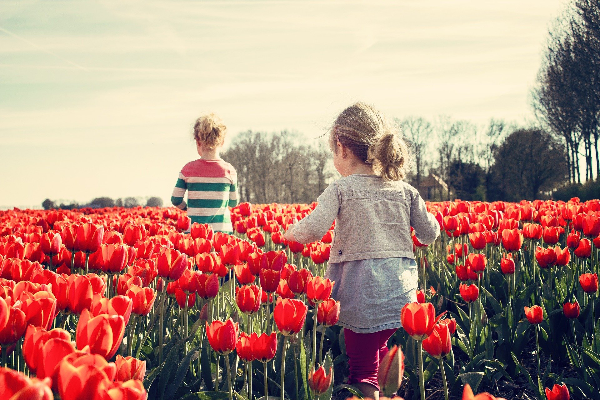 Frühling