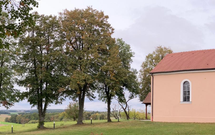 Herzlich willkommen